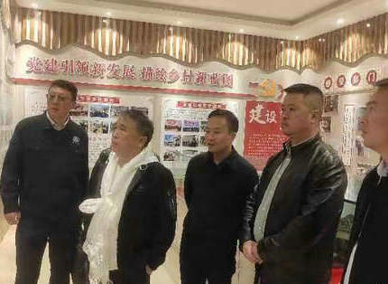 王志宏參加水利部援藏工作會(huì)議并調(diào)研公司定點(diǎn)幫扶村