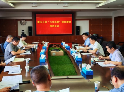 公司召開“六項機(jī)制”提質(zhì)增效推進(jìn)工作會議